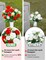 2 Sets Cemetery Vases with Artificial Flowers for Grave - Total 36 Vibrant Red & White Roses Bouquet, Memorial Day Flower Holders Kits with Fixing Foam for Headstones Decoration